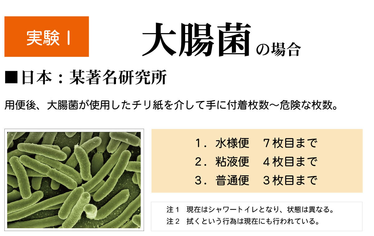 大腸菌が使用したペーパーを介して手に付着する危険回数