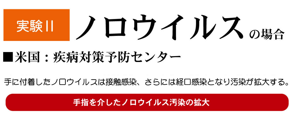 手指を介したノロウイルス汚染拡大