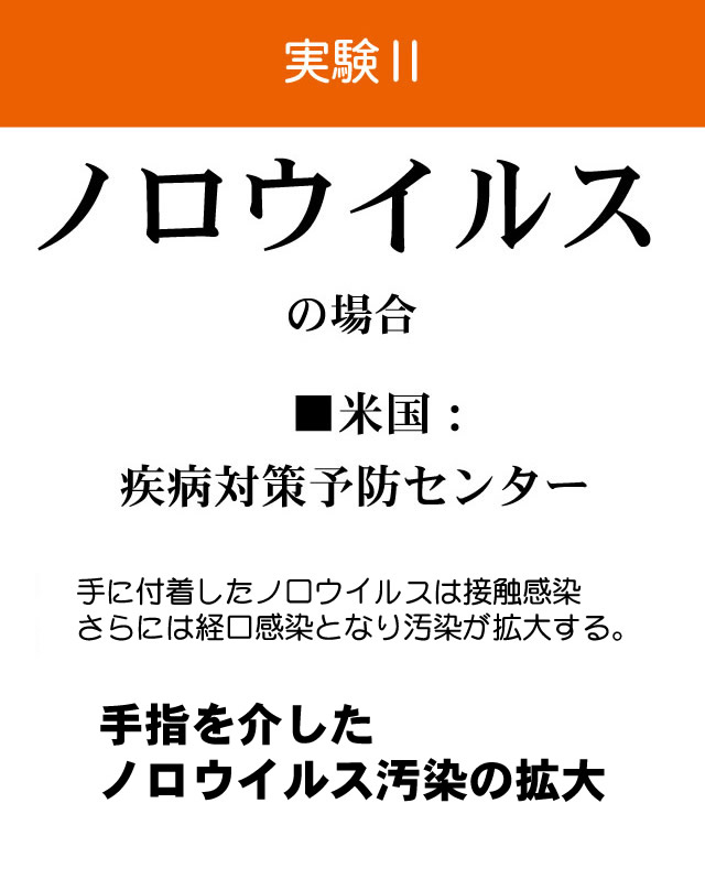 手指を介したノロウイルス汚染拡大