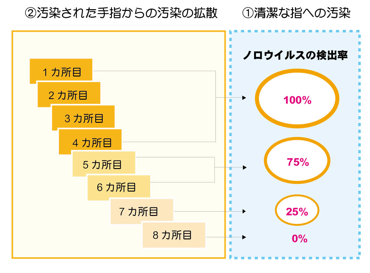 ノロウイルスの検出率