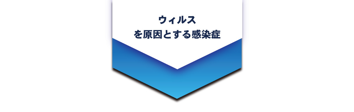 ノロウイルスは糞便から口への糞口感染を繰り返す